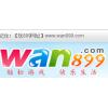 (海外充值)wan899平台游币100元100个 wan899.com游戏100元官网直充